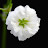 @infinytower3317