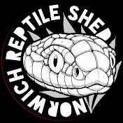 Norwich Reptile Shed