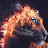 @tonyc1956's avatar