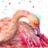 EITBA69IpqU-channel-avatar-Ellen Brenneman Studio