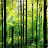 @filipposradaios2551's avatar