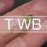dbYGInK8_Z0-channel-avatar-TheWBunn