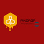 PinDrop Thoughts logo