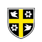 St. David's Denton logo