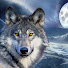 tdcLfAbeBWE-channel-avatar-LightWolf Media