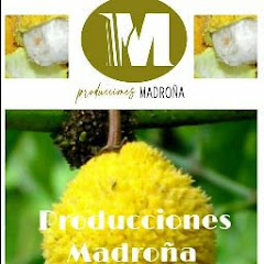 Логотип каналу PRODUCCIONES MADROÑA