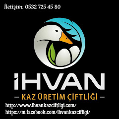 Kaz Üretim Çiftliği Cumali Kurt