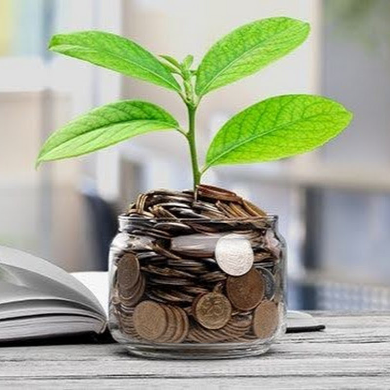 How to Invest