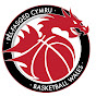 Basketball Wales Official Channel logo