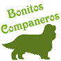 Bonitos Companeros FCI logo
