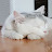 @고앵고앵-j1b