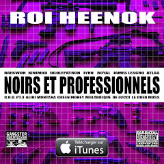 ROI HEENOK