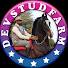 zi11p1I1QFU-channel-avatar-dev stud farm