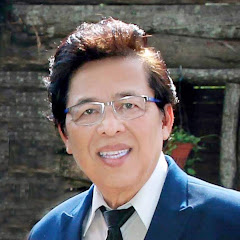 MINH TAN Official