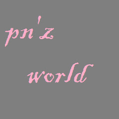Логотип каналу PN'z World