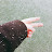 @user-nl1of8yc2z
