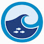 oceanresearchproject