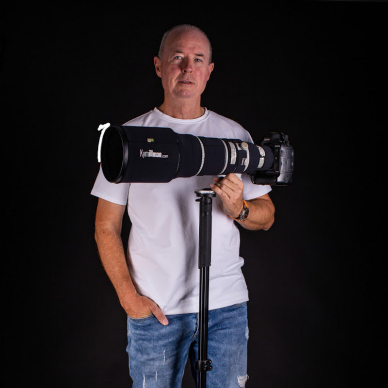 Channel Avatar
