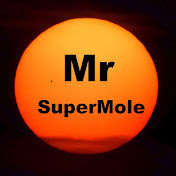 Mr SuperMole