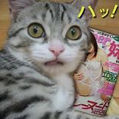 猫まんまお兄さん