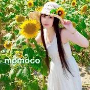 momoco channel