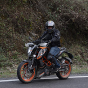 Indian Duker