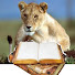 ZAN9EJ4ir-U-channel-avatar-Book Lioness