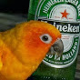 birdmanbl