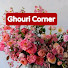 pG6_dBXiMUY-channel-avatar-Ghouri Corner