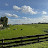 @Elffyy0_0's avatar