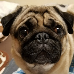 だいそん
