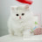@youhappy1385