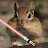 Darth Chipmunk