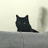 3HRWEym7yRQ-channel-avatar-HeeJea Cho