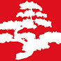Matsunoki Martial Arts logo