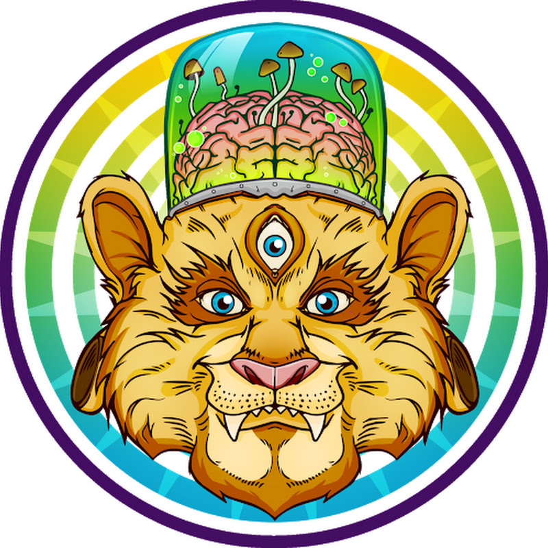 Adventures Through The Mind