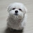 @TV-qn5zh