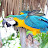 Zitronenhai Papagei