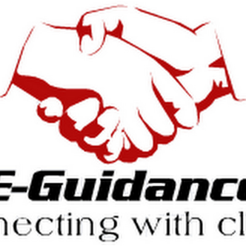 EGuidance2011