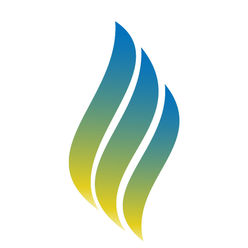 Macedo Consultants