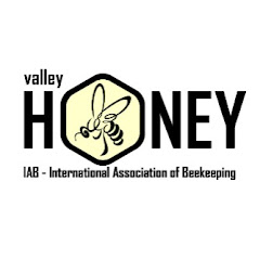 Долина МЁДА - Valley HONEY channel logo