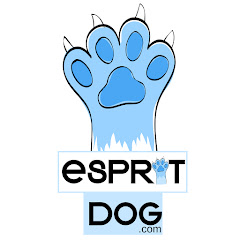 Esprit Dog Avatar