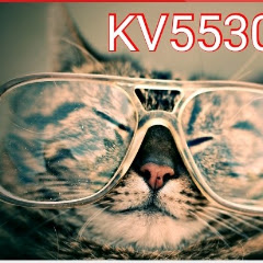 Kv55300 d vs d