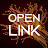 @openlink9958