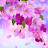 @user-ke2nw9cu5v