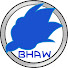 oDLouaKoI1I-channel-avatar-BlueHawk Audio Works