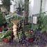 e6D8pzOfp9E-channel-avatar-My Take On Home & Garden