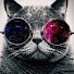 HjqPdGqYjyA-channel-avatar-Chimix