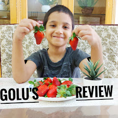 Golu's Review net worth