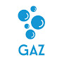 GAZ logo